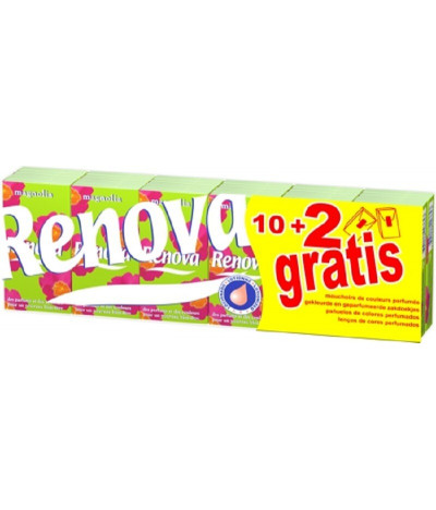 Renova Pañuelos Flores Magnolia 4C 12un T