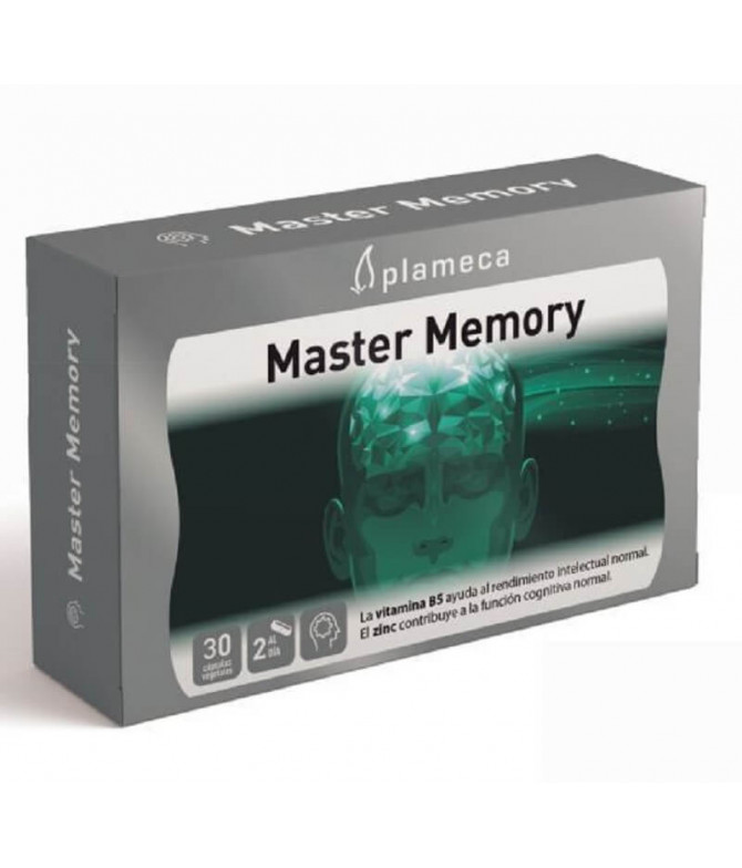 Plameca Master Memory 30un T