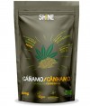 Shine Sementes Cânhamo BIO 100gr