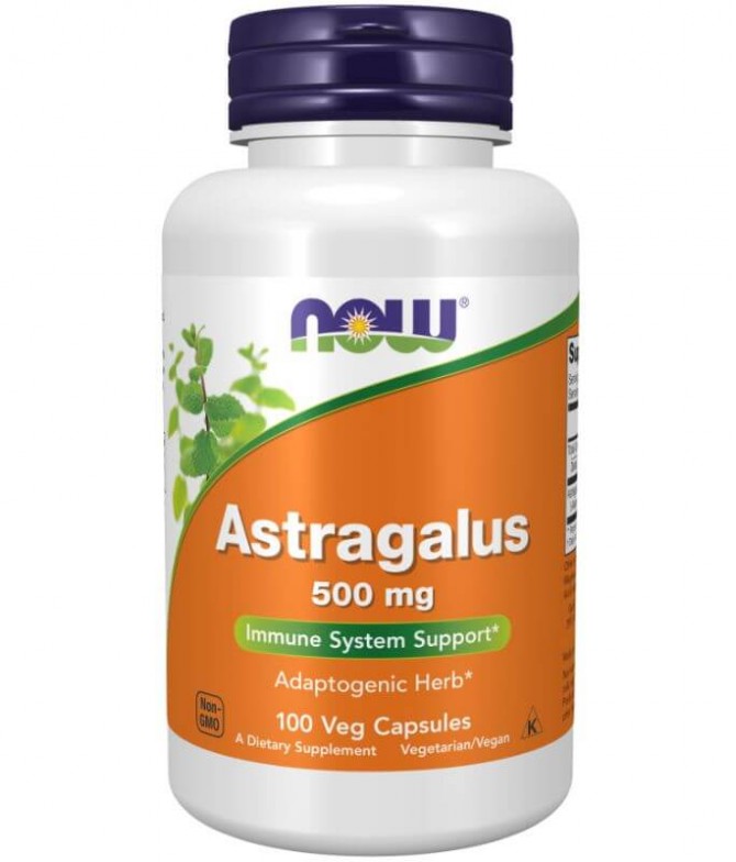 Now Astragalus 500mg 100un