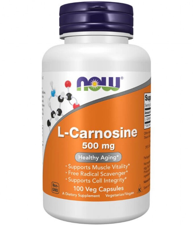 Now L-Carnosine 500mg MÚSCULO 100un