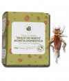 Portugal Bugs Snack Acheta Domestica Tomate Orégano 12gr