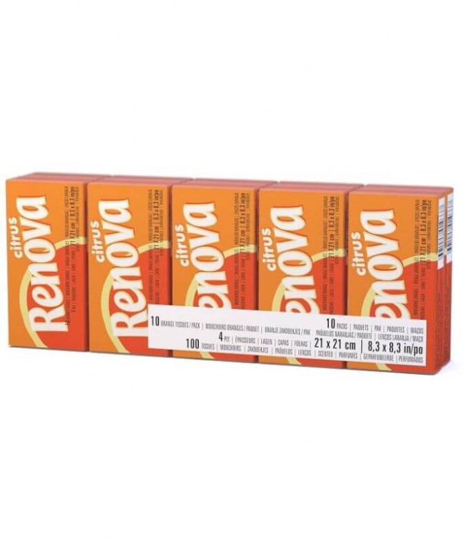 Renova Lenços Bolso Citrus 10un