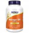 Now Óleo Borragem 1000mg 60un