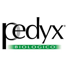 Pedyx