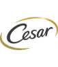 Cesar 